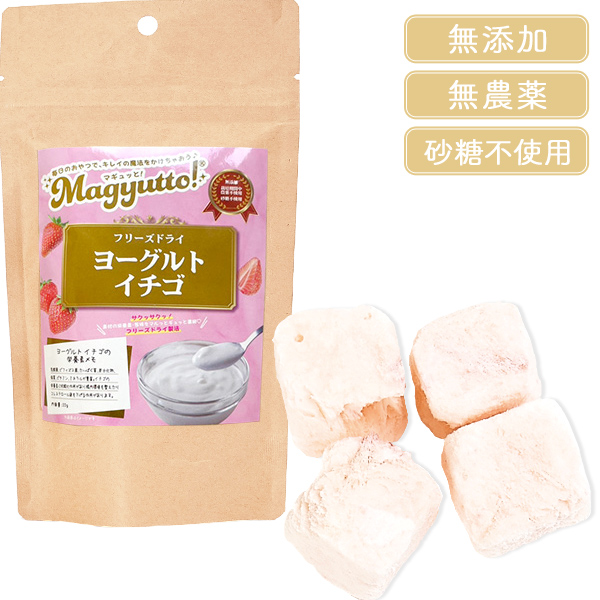 Magyutto！ フリーズドライ ヨーグルトイチゴ
