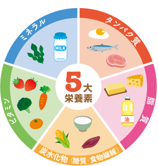 5大栄養素イラスト
