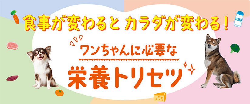 食事が変わるとカラダが変わる！ワンちゃんに必要な栄養トリセツ