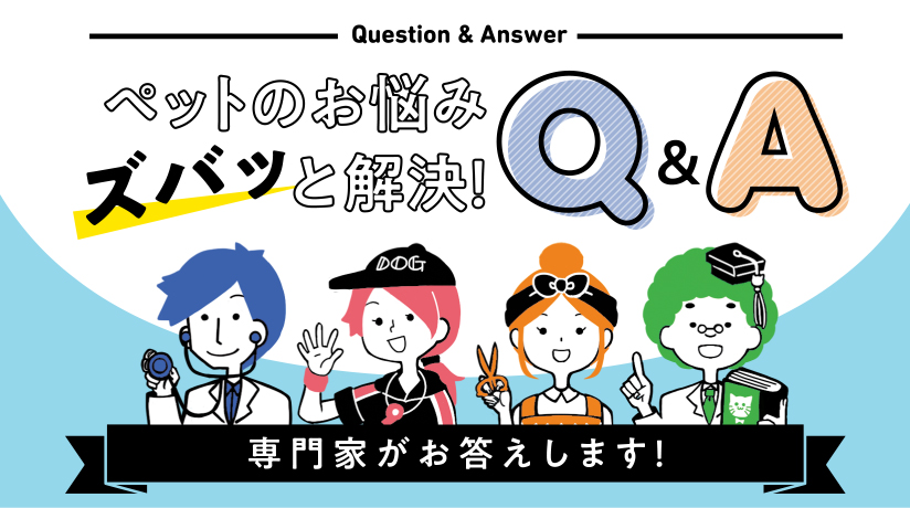 ペットのお悩みズバッと解決！Q&A