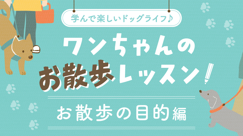 ワンちゃんのお散歩レッスン【お散歩の目的編】