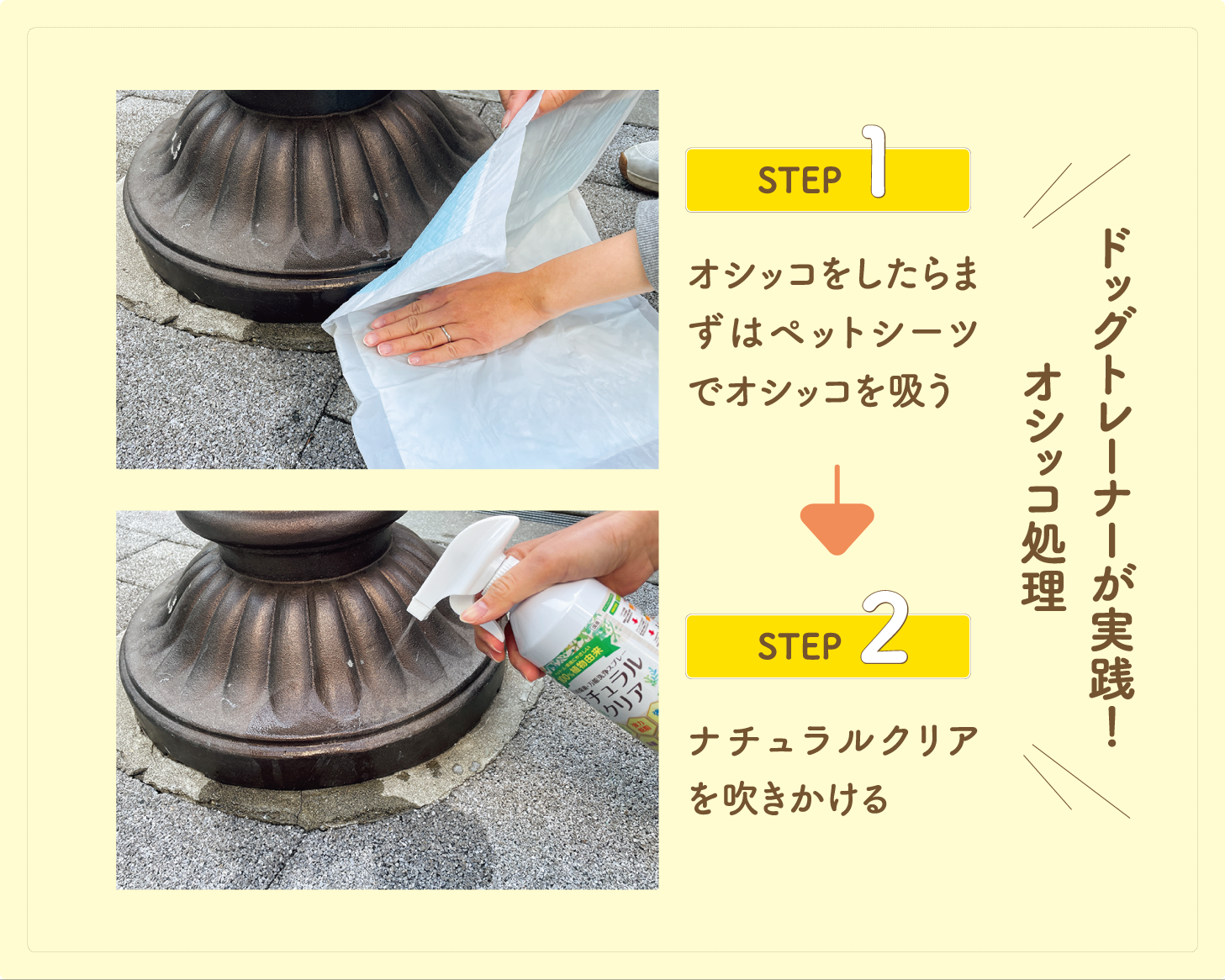 おしっこ処理