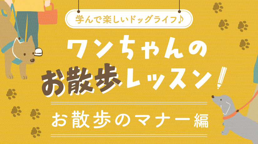 ワンちゃんのお散歩レッスン！お散歩のマナー編