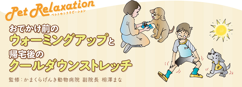 ペットのリラクゼーション｜おでかけ前のウォーミングアップと帰宅後のクールダウンストレッチ
