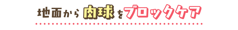 地面から肉球をブロックケア