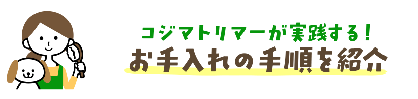 コジマトリマーが実践する！お手入れの手順を紹介