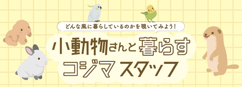 小動物さんと暮らすコジマスタッフ