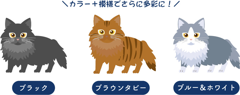 ノルウェージャン・フォレスト・キャットの被毛