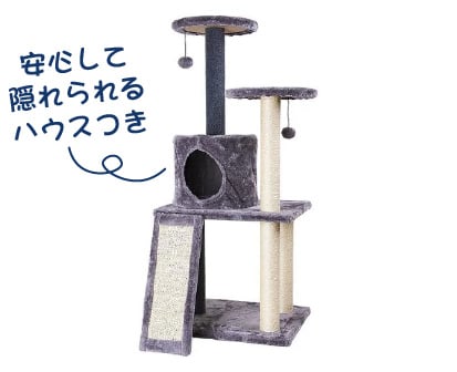 アスレチックキャットタワー ラダー