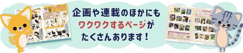 企画や連載のほかにもワクワクするページがたくさんあります！