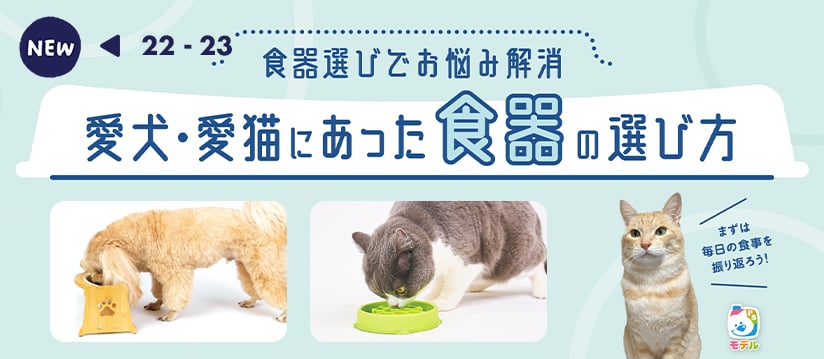 食器選びでお悩み解決 愛犬・愛猫にあった食器の選び方