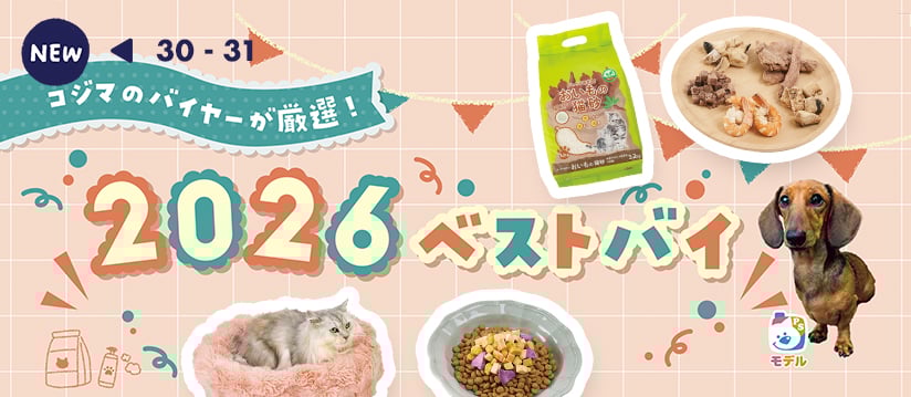 コジマのバイヤーが厳選！ 2026ベストバイ