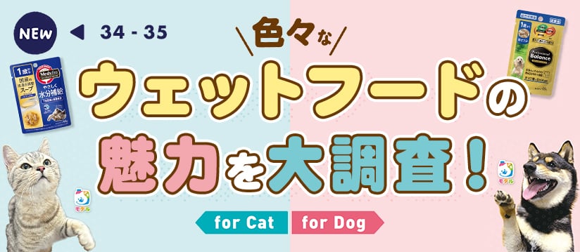 色々なウェットフードの魅力を大調査！