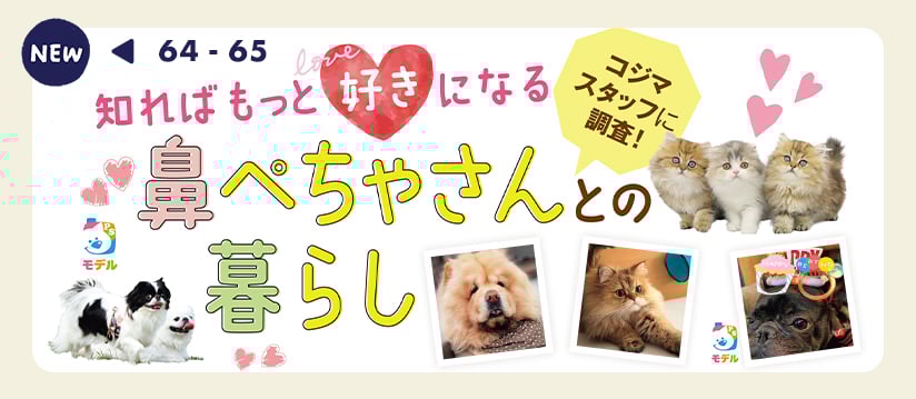 知ればもっと好きになる 鼻ぺちゃさんとの暮らし