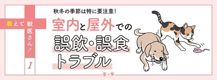 教えて獣医さん！1