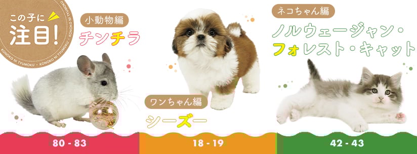 この子に注目！