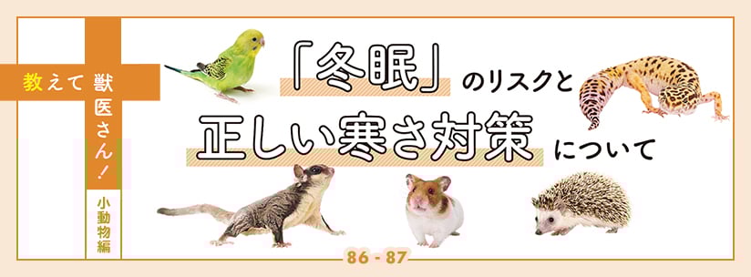 教えて獣医さん！小動物編