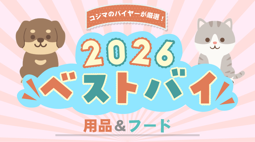 コジマのバイヤーが厳選！2026ベストバイ