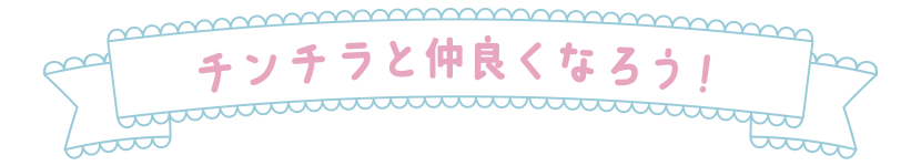 チンチラと仲良くなろう！