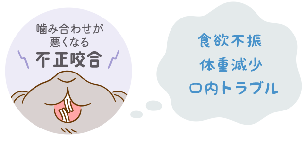 嚙み合わせが悪くなる不正咬合