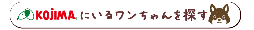 KOJIMAにいるワンちゃんを探す