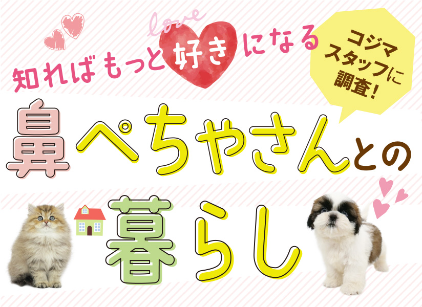 知ればもっと好きになる 鼻ぺちゃさんとのくらし コジマスタッフに調査！