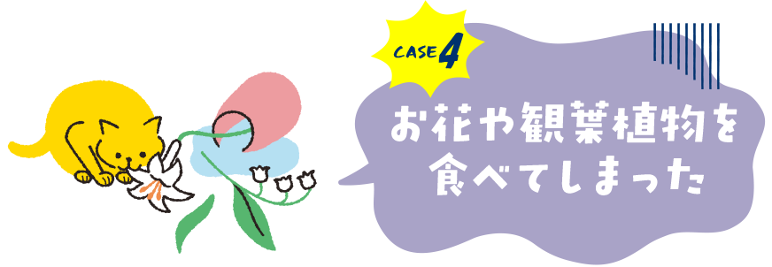 case4.お花や観葉植物を食べてしまった