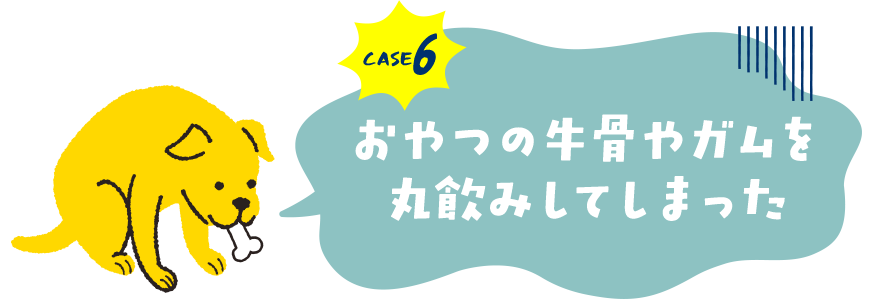 case6.おやつの牛骨やガムを丸飲みしてしまった