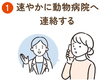 ➀速やかに動物病院へ連絡する