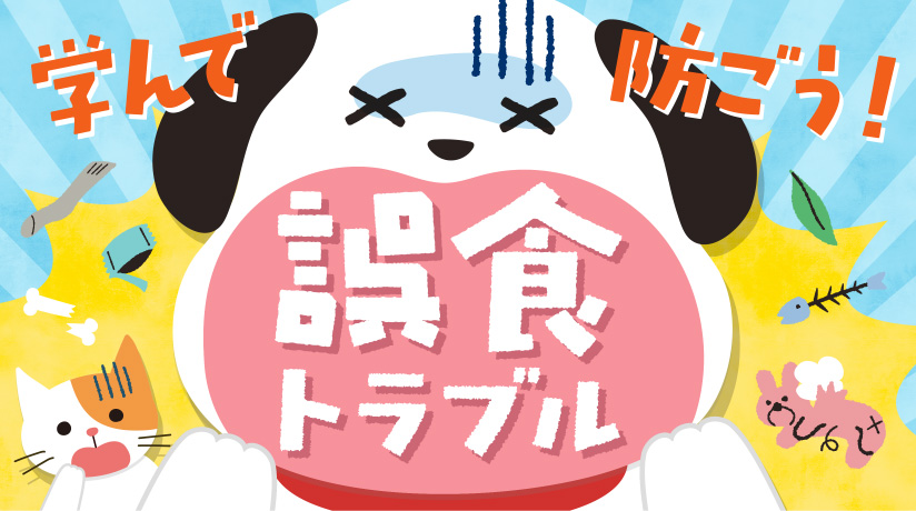 学んで防ごう！誤食トラブル