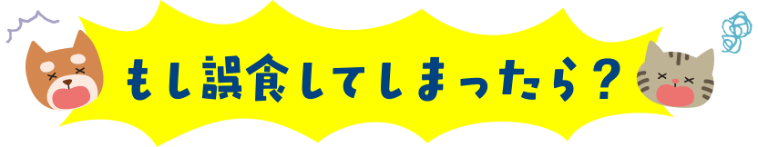 もし誤飲してしまったら？