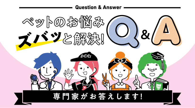 ペットのお悩みズバッと解決！Q&A