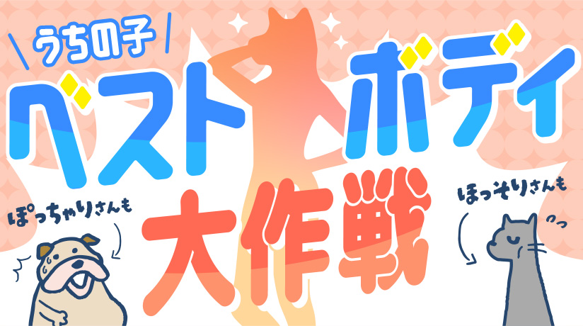 うちの子ベストボディ大作戦！