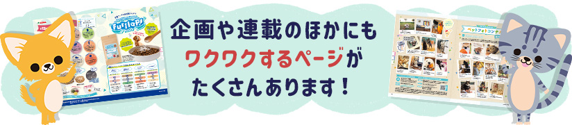 企画や連載のほかにもワクワクするページがたくさんあります！