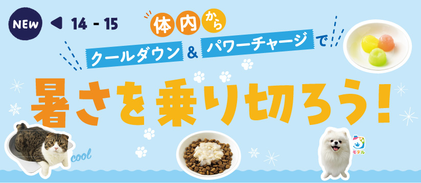 体内からクールダウン＆パワーチャージで暑さを乗り切ろう！