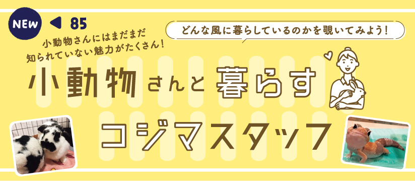 どんな風に暮らしているのかを覗いてみよう！ 小動物さんと暮らすコジマスタッフ