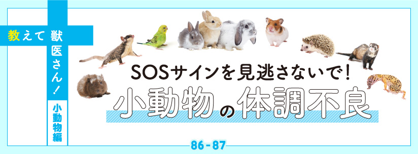 教えて獣医さん！小動物編