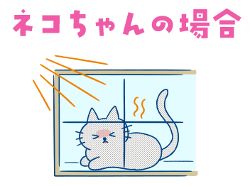 ネコちゃんの場合