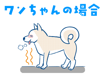 ワンちゃんの場合