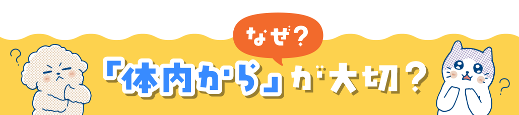 なぜ？「体内」からが大切？