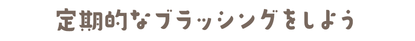 定期的なブラッシングをしよう