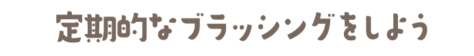 定期的なブラッシングをしよう