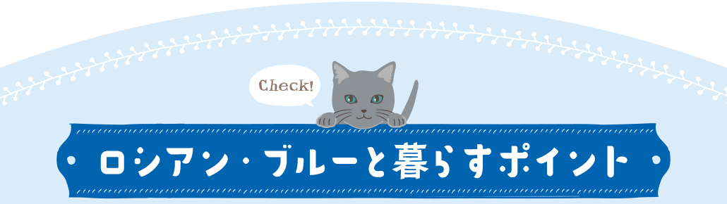 ロシアン・ブルーと暮らすポイント