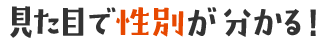 見た目で性別が分かる！