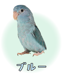 ブルー