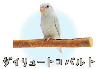 ダイリュートコバルト