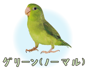 グリーン（ノーマル）