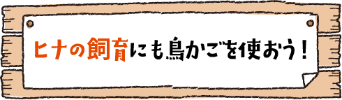ヒナの飼育にも鳥かごを使おう！
