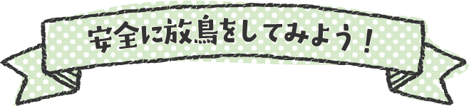 安全に放鳥をしてみよう！