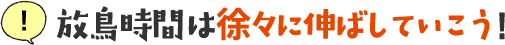 放鳥時間は徐々に伸ばしていこう!